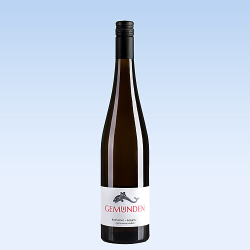 2019 Riesling Forst - trocken